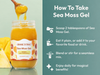 ORANIC EXTRACT® Sea Moss Gel Superfood