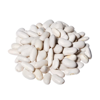 White Kidney Bean