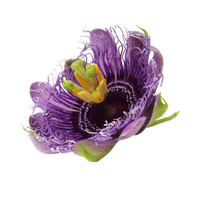 Passion Flower