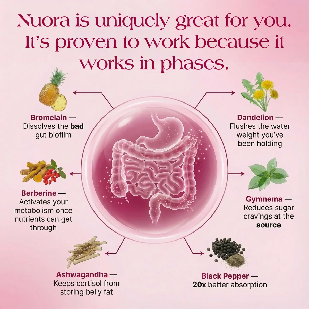 Oranic Extract® Gut Biofilm Ritual